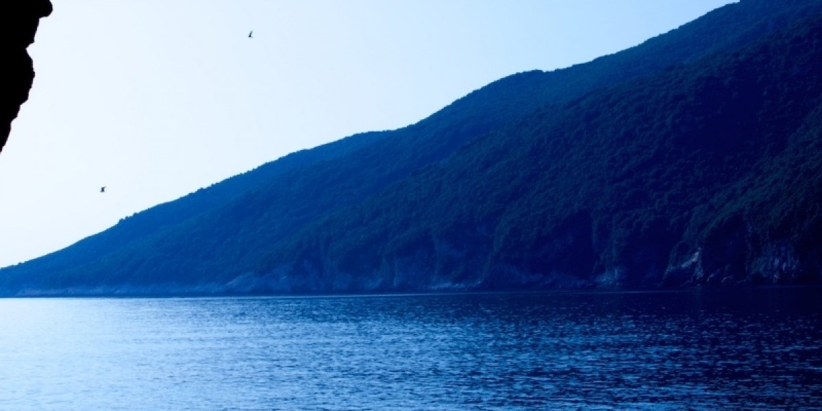 DSC_0057 (1)